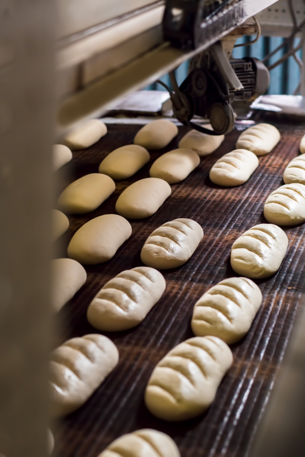 bread-dough-running-on-conveyor-belt-at-industrial-2026-03-09-04-51-40-utc